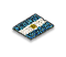Building Argentinean Flowerbed Flag