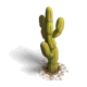 Building Cactus Level 1
