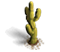 Merchant Item Deco Cactus 2