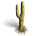 Merchant Item Deco Cactus 3