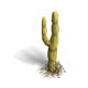 Building Cactus Level 1