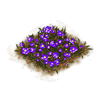 Building Flowerbed (Violet) Level 1