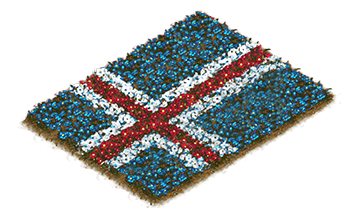 Building Icelandic Flowerbed Flag Level 1