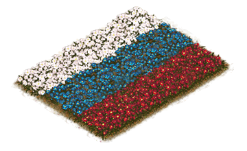 Building Russian Flag Flowerbed Level 1