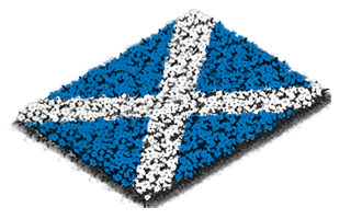 Building Scotland Flowerbed Flag Level 1