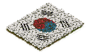 Building South Korean Flowerbed Flag Level 1