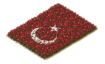 Building Turkish Flowerbed Flag Level 1
